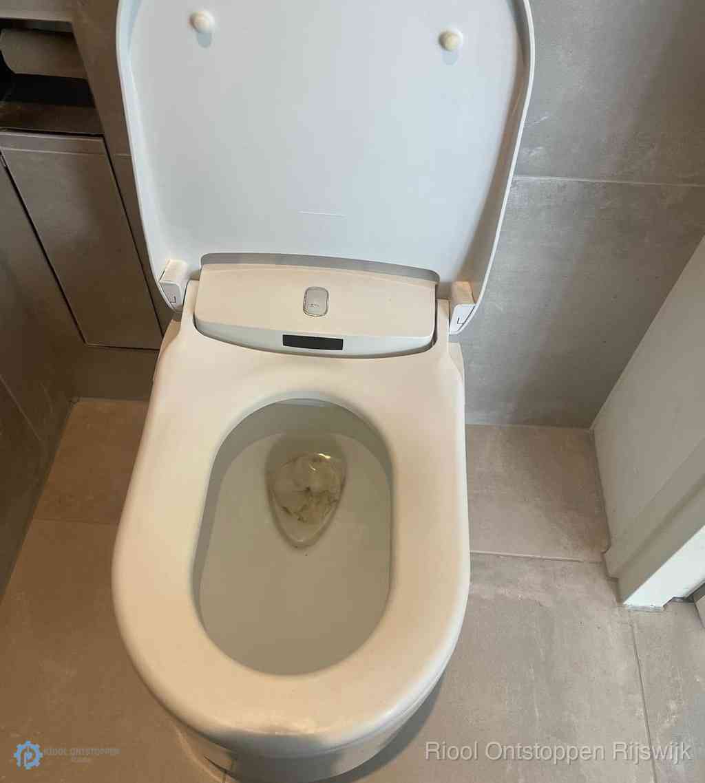 Toilet Ontstoppen Rijswijk Toilet Ontstoppen Rijswijk